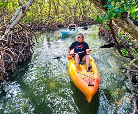 kayak tour through mangrove tunnels.